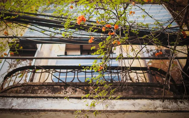 Lô gia – điểm nhấn trong phong cách thiết kế chung cư hiện đại