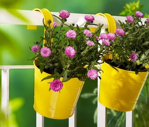 Ngoại thất xinh lung linh với chậu hoa màu sắc