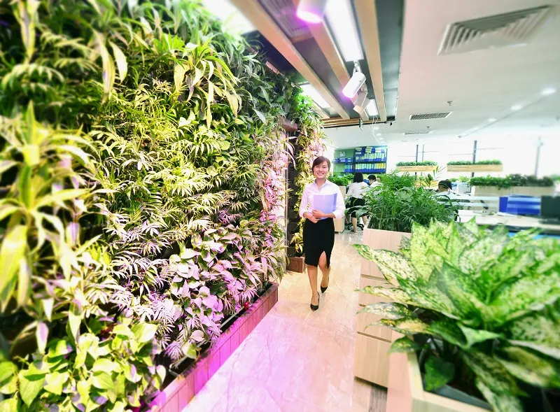 Mô hình văn phòng xanh – lựa chọn mới cho các doanh nghiệp