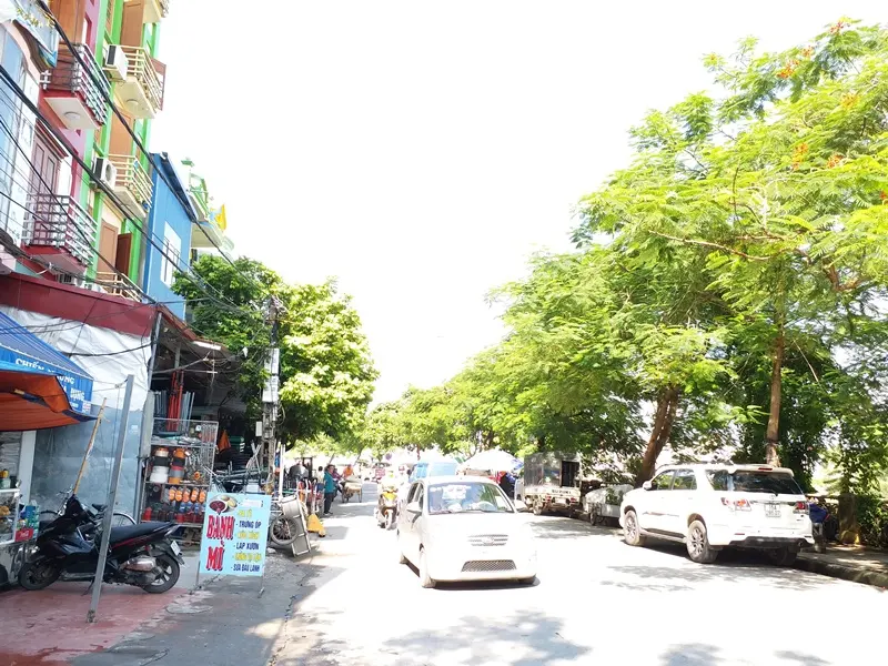 Hải Phòng lấy ý kiến cộng đồng về đồ án quy hoạch hai bên sông Tam Bạc