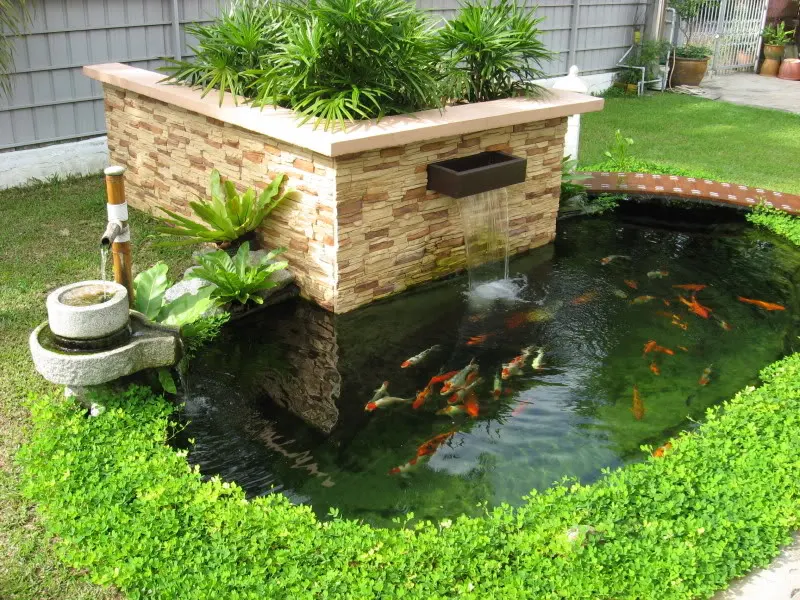 Mái nhà xanh trong phố