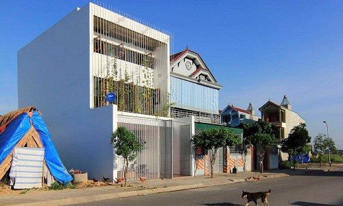 Ngôi nhà với “khu vườn đứng” độc đáo tạo không gian xanh