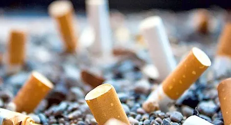 Đầu lọc thuốc lá làm vật liệu xây dựng đường giao thông