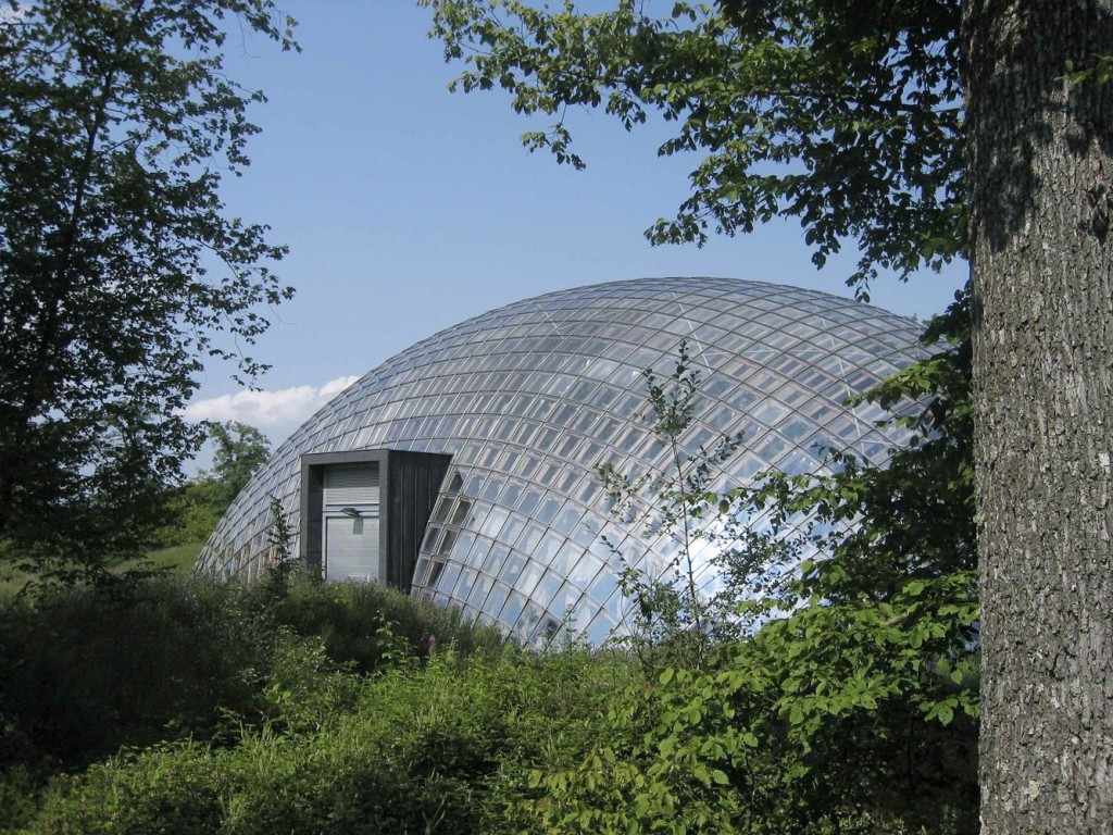 Ngắm kho sản xuất lâm nghiệp kiến trúc vỏ ốc sên giữa rừng