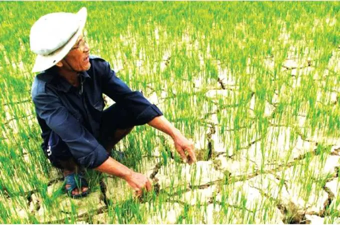 Hạn hán tại vùng ĐBSCL trước tác động của BĐKH