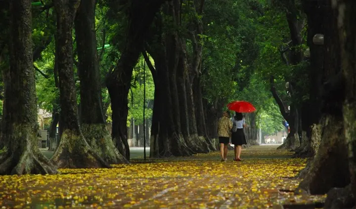 Thủ đô xanh và đúc kết “3Đ” của Chủ tịch Hà Nội