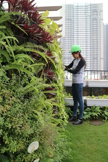 Giải pháp vườn thẳng đứng tiết kiệm diện tích