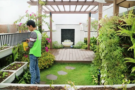 Được chăm sóc bởi những nhân viên am hiểu về cây xanh mang đến không gian xanh mát