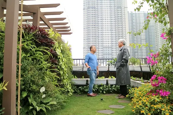 Giải pháp thiết kế “Vườn trên mái”