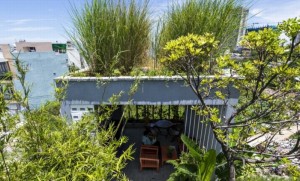 Thiết kế văn phòng bao phủ bởi cây xanh tại Đà Nẵng