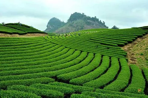 Cơ hội mới thực hiện thành công mục tiêu tăng trưởng xanh