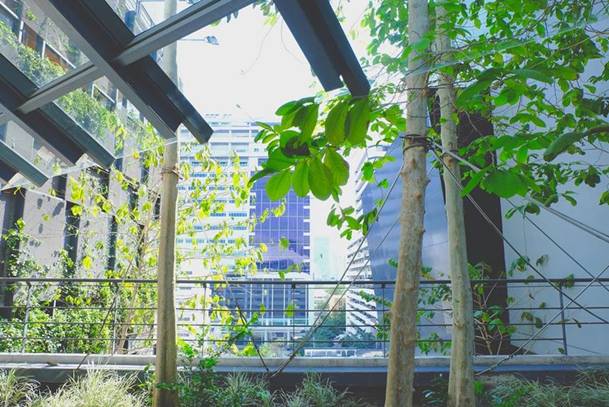 Các thành phố khu vực châu Á – Thái Bình Dương: Chú trọng xây dựng không gian sống xanh