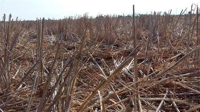 Cơ sở hạ tầng là nền tảng để chống biến đổi khí hậu