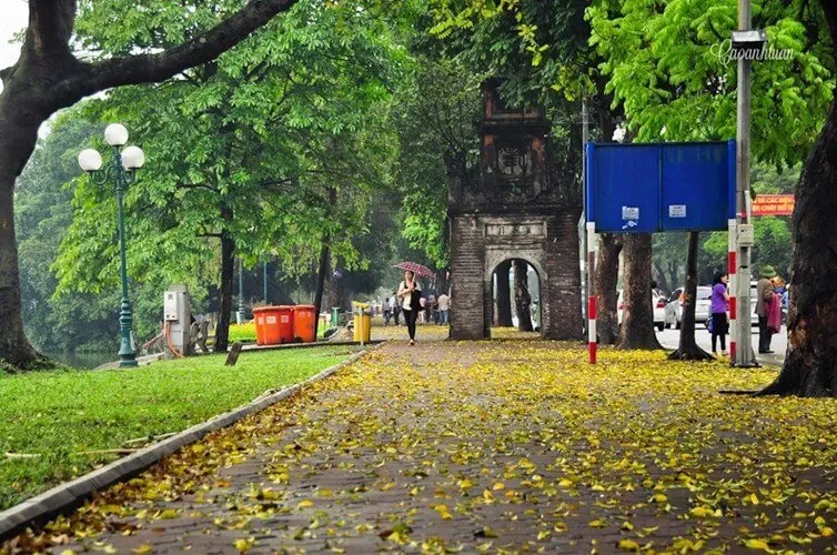Nghĩ về lý luận phê bình kiến trúc hiện nay