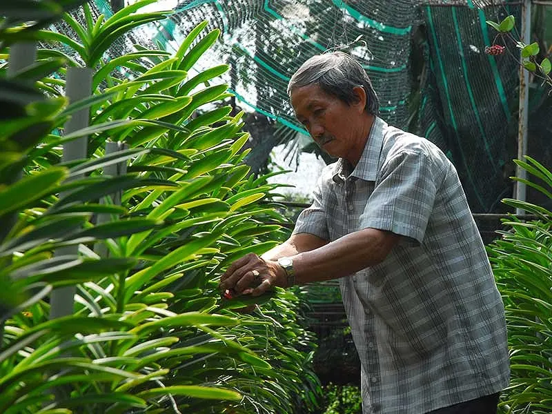Đồng bộ các giải pháp xây dựng nông thôn mới và giảm nghèo