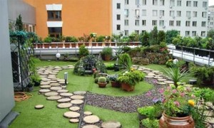 Gia chủ Hà Nội phải dỡ toàn bộ vườn trên mái vì ngấm nước