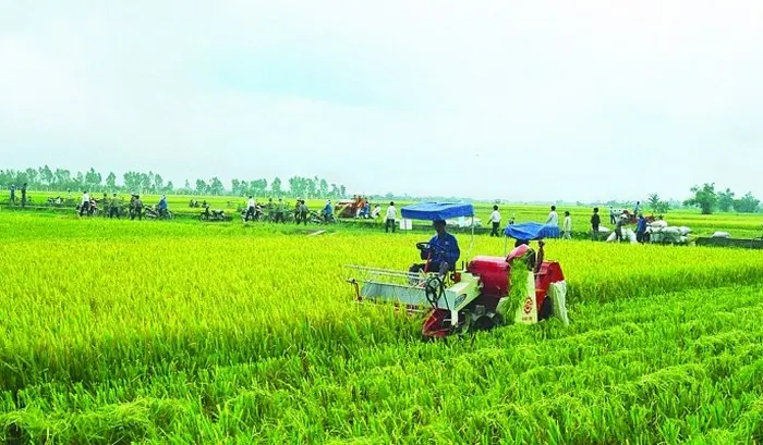 Phát triển nông thôn thích ứng với thiên tai