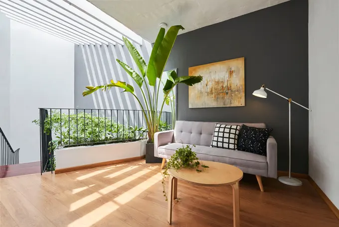 Nhà Sài Gòn kín cổng cao tường nhưng ngập nắng, cây xanh