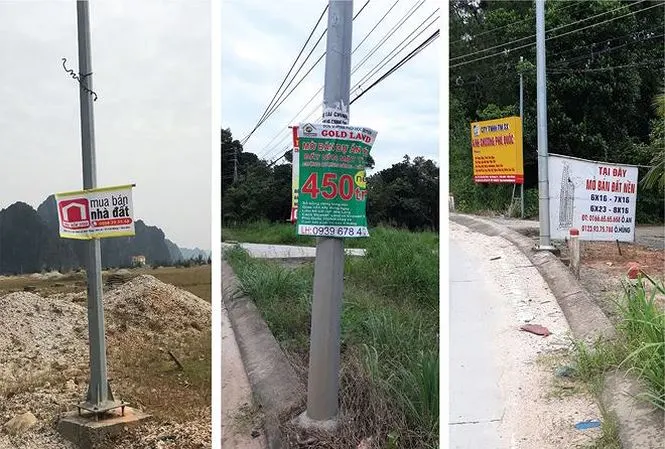 Lùi thông qua Luật Đặc khu, cơn ‘sốt’ đất liệu có thoái trào?