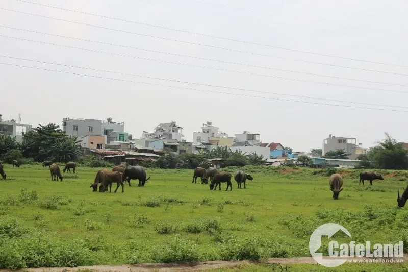 Thị trường đất nền: giao dịch giảm, giá không giảm