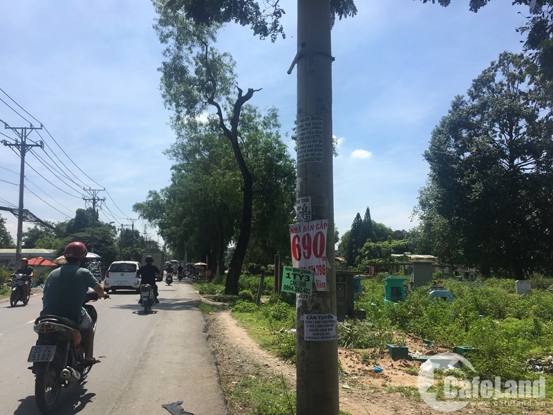 “Bỏng tay” giá đất quanh nghĩa trang