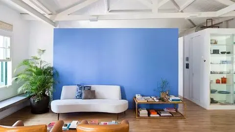 Những loại cây tuyệt vời trang trí cho ngôi nhà đẹp của bạn
