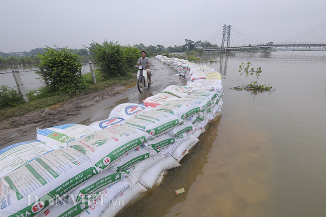 Nâng cấp đê tả Bùi: Có nên bỏ hàng trăm, nghìn tỷ để kè “đáy ao”?
