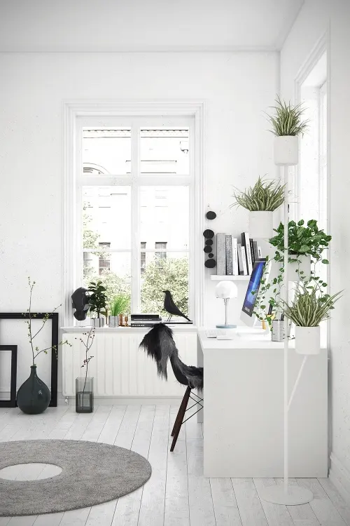 Góc làm việc phong cách Scandinavian mang tone trắng chủ đạo cùng nhiều cây xanh. Hãy nhấn nhá một chút bằng các chi tiết mềm mại, như: thảm lông, đồ trang trí sáng tạo, đèn bàn độc đáo...