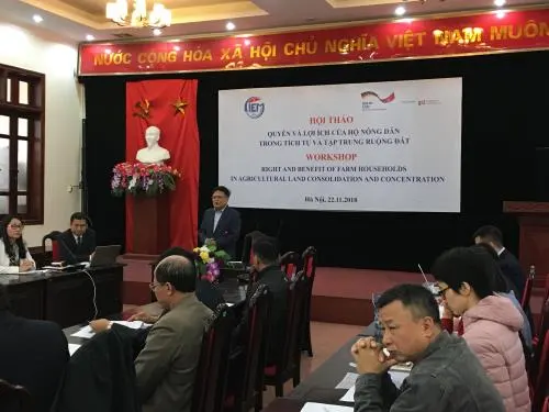 Bàn giải pháp tháo gỡ khó khăn trong tích tụ ruộng đất