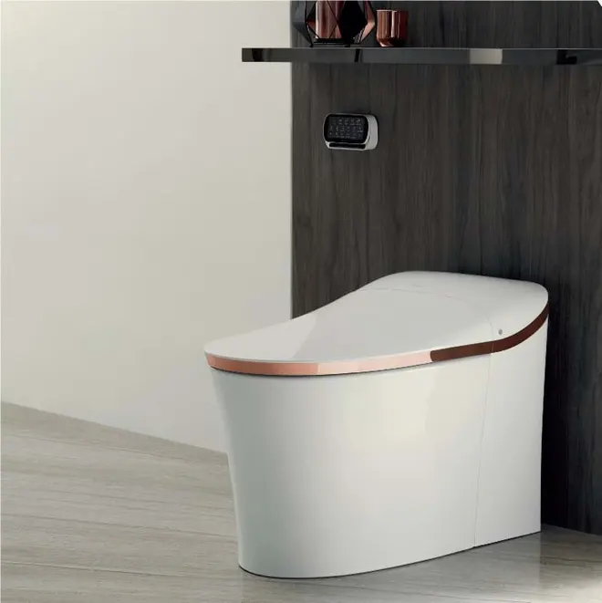 Bồn cầu thông minh EIR là sự kết hợp của tính nghệ thuật và các tiện ích sang trọng với công nghệ vượt bậc