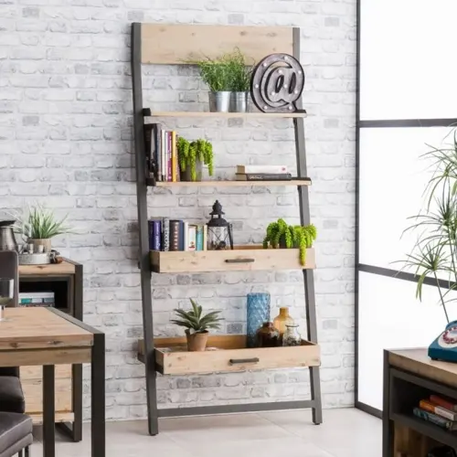 Kệ sách cũng có thể trở thành kệ trồng cây