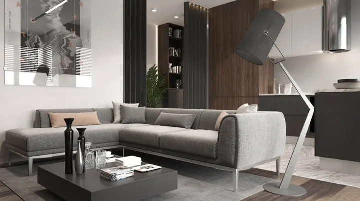 Ghế sofa, bàn trà và thảm trải sàn đóng khung khu vực tiếp khách