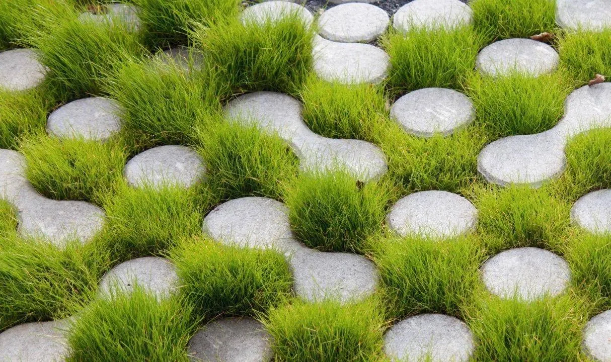 Người dùng có thể tùy chọn theo sở thích