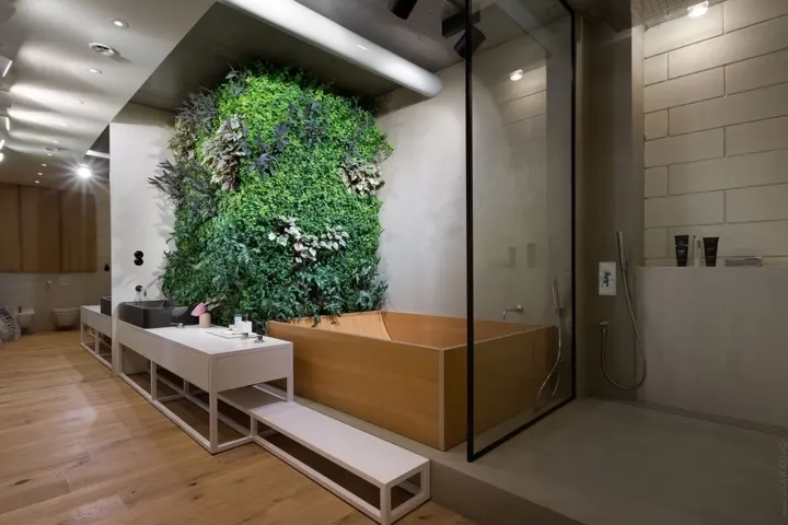 Cây phát triển dọc theo bức tường thẳng đứng trong phòng tắm