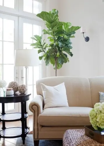 Ghế sofa thường có hai loại lưng tựa là lưng có đệm hoặc lưng gối có thể tháo dời. Tùy vào sở thích và việc dọn vệ sinh bạn hãy cân nhắc loại ghế có lưng tựa phù hợp.