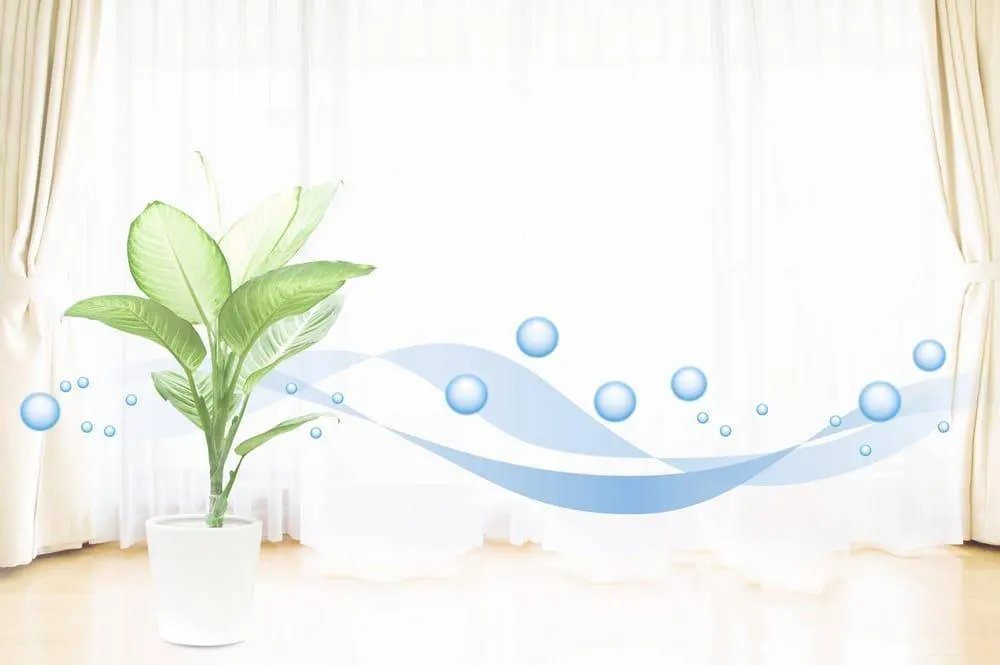Những chiếc rèm lọc không khí mang đến sự trong lành cho ngôi nhà bạn