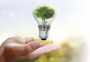 Phê duyệt Chương trình quốc gia về sử dụng năng lượng tiết kiệm và hiệu quả giai đoạn 2019 – 2030