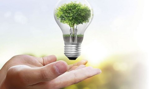 Phê duyệt Chương trình quốc gia về sử dụng năng lượng tiết kiệm và hiệu quả giai đoạn 2019 – 2030