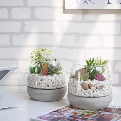 Bình thủy tinh có đế bằng bê tông, hoàn hảo để trồng xương rồng hay các loại cây cảnh