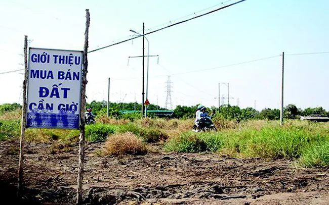 Đất nền vùng TP Hồ Chí Minh: Chững lại chờ “hồi sóng”