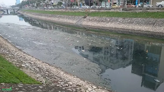 Sông Tô Lịch luôn trong tình trạng ô nhiễm