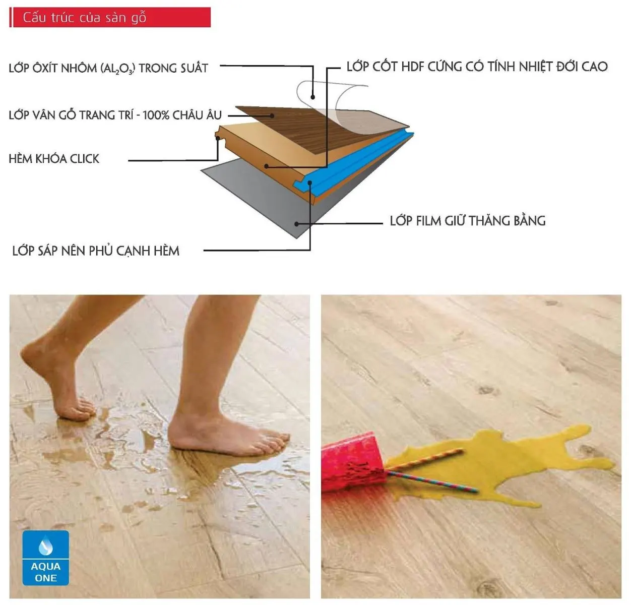 Sơ đồ cấu tạo của sàn gỗ chống thấm