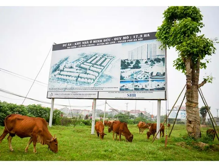 Vấn nạn đầu cơ đất đai rồi để hoang tại Hà Nội: Thuốc nào để ‘trị’?