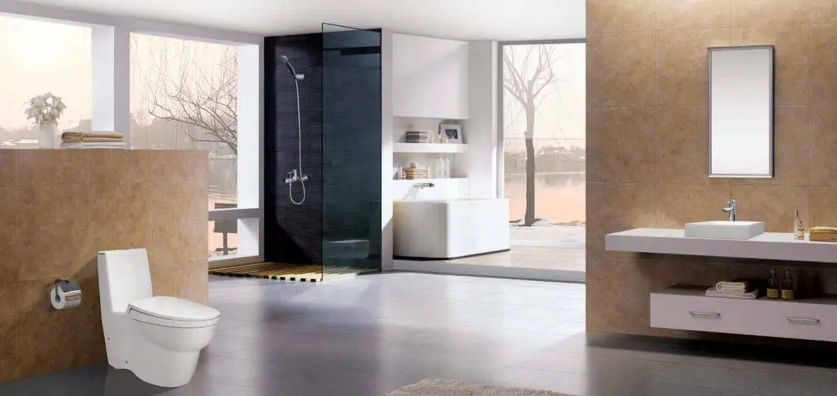 Vì mẫu mã và giá cả phải chăng nên sứ vệ sinh được đông đảo người dùng lựa chọn