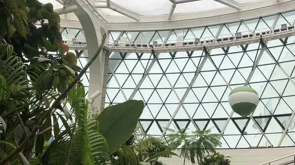 Mái vòm sử dụng vật liệu kính ETFE đặc biệt, cho phép ánh sáng truyền và lan tỏa khắp mọi nơi