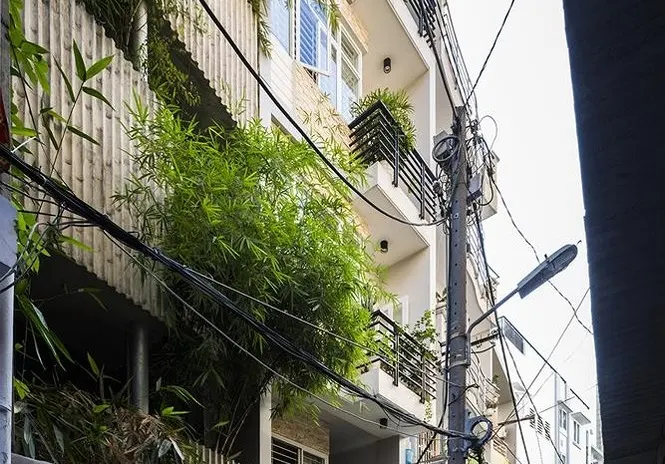 ‘Nhà tre’ như rừng cây trong hẻm Sài Gòn, vừa tắm vừa nghe chim hót