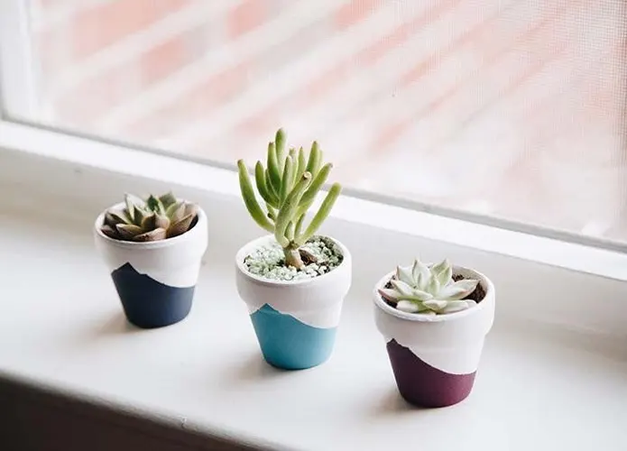 Phòng giải trí: Cây sen đá. Là một trong những loài cây chăm sóc đơn giản, không tốn thời gian, chỉ một chậu sen đá nhỏ đặt trên bàn làm việc, bạn sẽ thấy không gian sống tươi mát hơn.