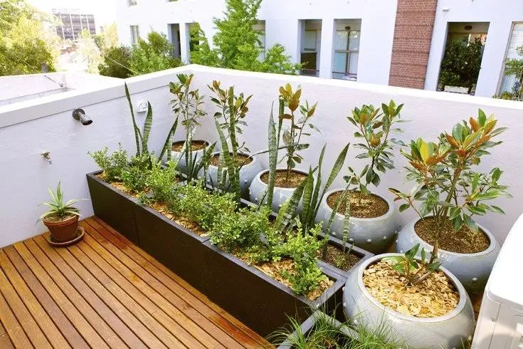 Nếu có thời gian chăm chút cho khu vườn, bạn hoàn toàn có thể lựa chọn lát gỗ