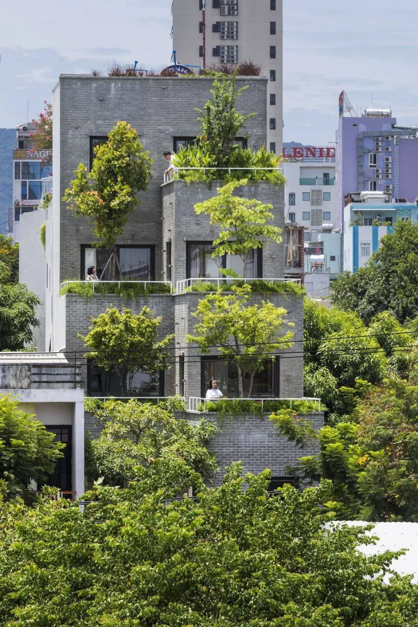 Màu xanh từ thiên nhiên như làm nổi bật và tạo sự khác biệt cho công trình với kiến trúc xung quanh