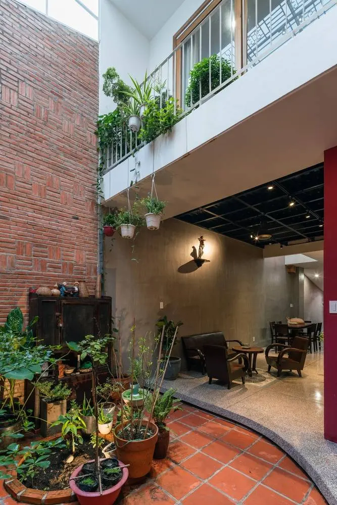 Không gian sân sau bình dị và nên thơ với cách bài trí cây xanh